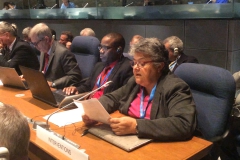 Presentation of WP271