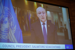 Mr. Salvatore Sciacchitano,